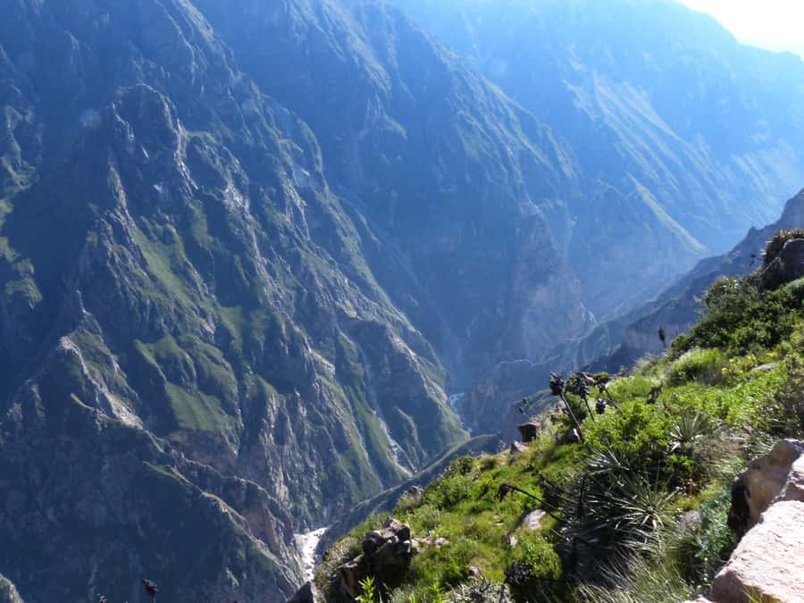 Colca Canyon Day Trip: From Arequipa to Puno - Key things to know before you go