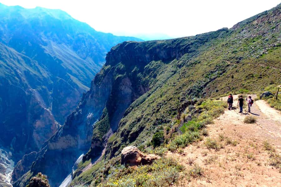 Colca Canyon Day Trip: From Arequipa to Puno - Lunch in Chivay, then the push toward Puno