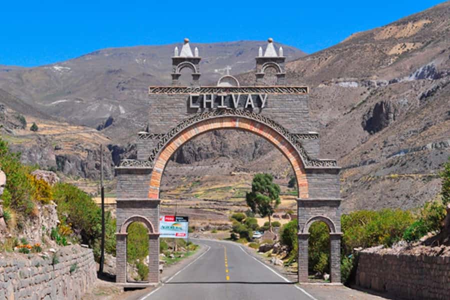 Colca Canyon Day Trip: From Arequipa to Puno - Tocrapampa wetlands, alpacas, llamas, and wild-bird watching
