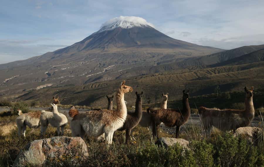 COLCA CANYON FULL DAY TOURS - Mirador de la Cruz del Condor: where you earn the view