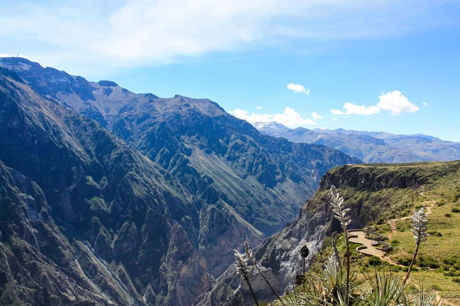 COLCA CANYON FULL DAY TOURS - The return route: Mirador de los Volcanes, alpacas, and vicuñas