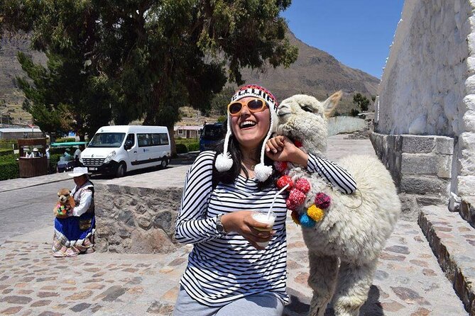 Colca Full Day - Where the viewpoint magic happens and the condor factor