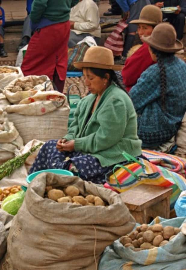 Cusco: 3-Hour Peruvian Cooking Class - A market walk that makes Cusco food click