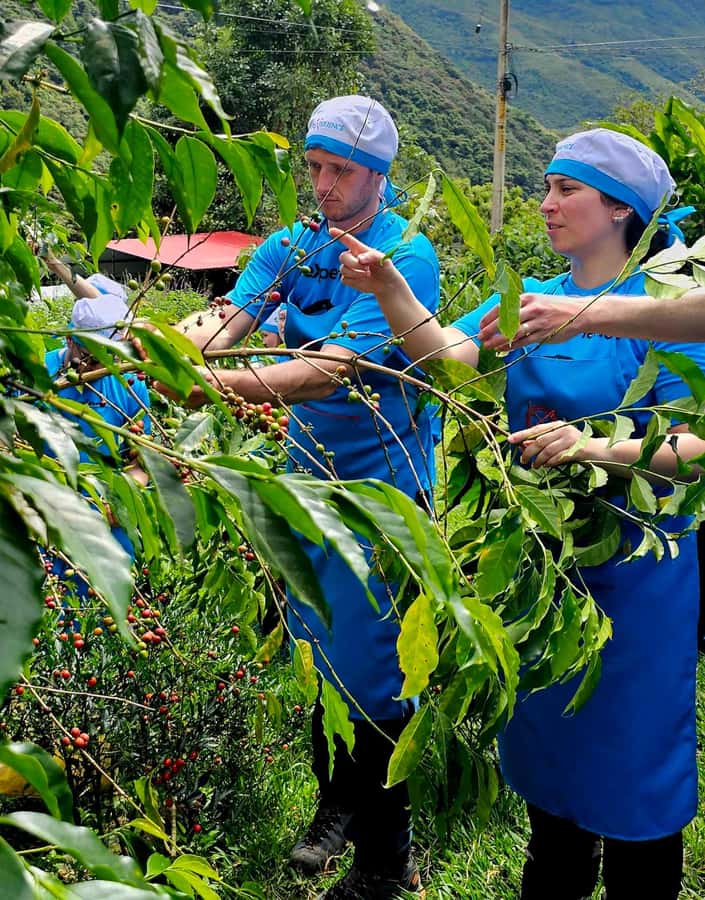 Cusco: 4-Day Salkantay Trek to Machu Picchu, Panoramic Train - Day 3: Pachamanca in Lucmabamba, coffee making, and the road to Aguas Calientes