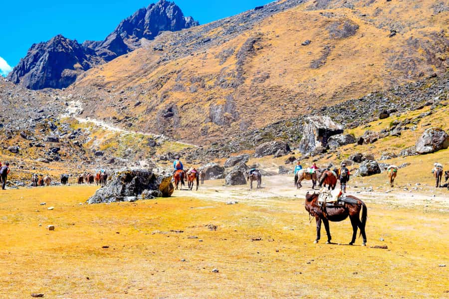 Cusco: 5-Day Salkantay Ultimate Trek to Machu Picchu - Day 5: Guided Machu Picchu, then Huayna Picchu or Machu Picchu Mountain