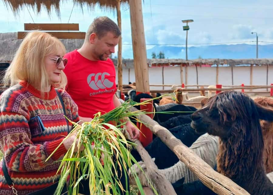 Cusco: Archeological Sites Tour and Forest Photo Experience - Sacsayhuaman’s limestone blocks and the idea of a solar sanctuary