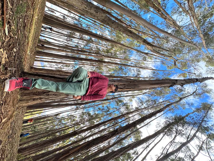 Cusco: Archeological Sites Tour and Forest Photo Experience - Coricancha: wrap yourself in the Temple of the Sun