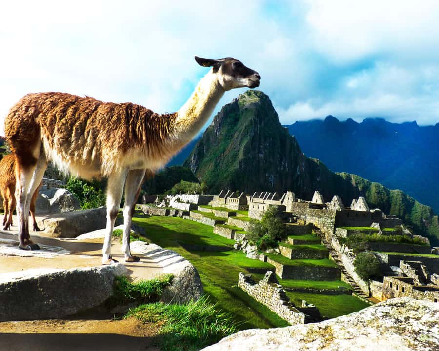 CUSCO: Full Day All Included Private Machu Picchu Experience - Timing and pacing: what feels smooth, and what can feel long