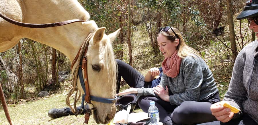 Cusco: Half-Day Horseback Riding at Devil's Balcony - Horseback Riding From Cusco: Why this format works