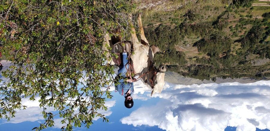 Cusco: Half-Day Horseback Riding at Devil's Balcony - Price and value: is $85 fair for Cusco?