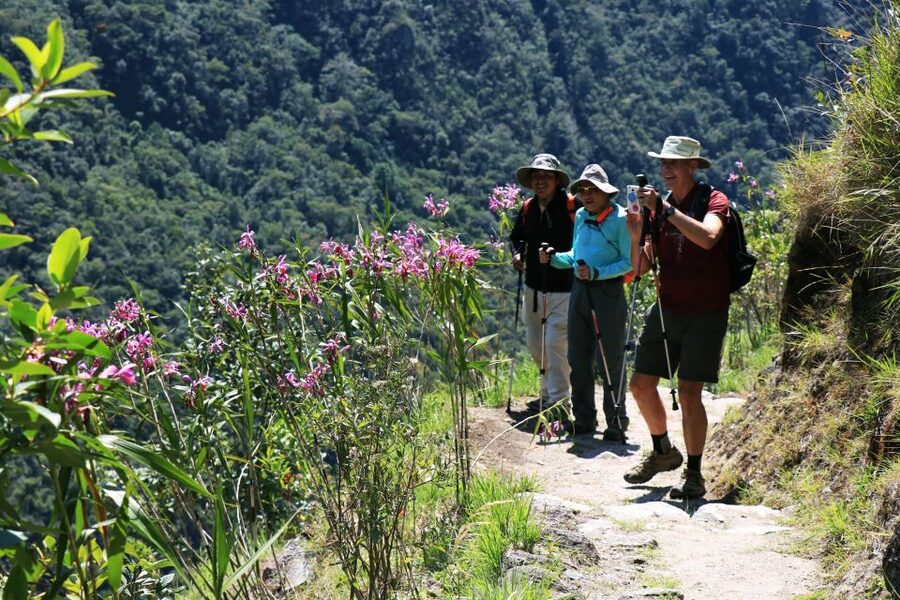 Cusco: Machu Picchu 2-Day Inca Trail with Panoramic Train - Picnic Meals on the Trail: More Than a Convenience