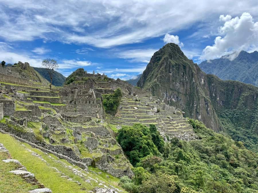 Cusco: Machu Picchu Day Trip with Train + Entrance ticket - Price and value: what $333 gets you, and why that matters