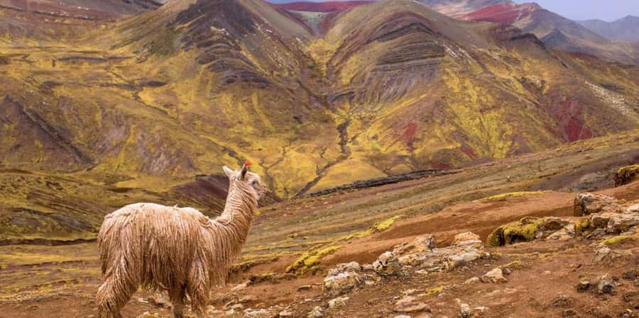 Cusco : Palcoyo - Rainbow Mountain Hidden Sister - Key Things to Know Before You Go