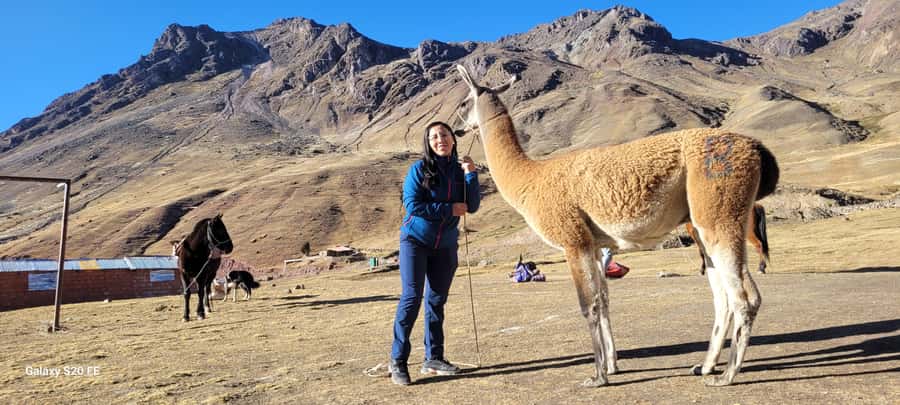 Cusco: Rainbow Mountain & Red Valley Tour with Picnic meals - Guide quality and group size, what you should look for
