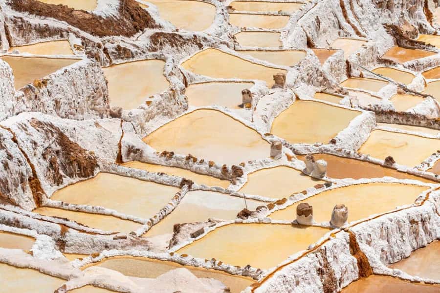 Cusco: Sacred Valley, Pisac, Ollantaytambo, Salt Mines Moray - Moray’s circular terraces: an Inca farming lab, not just scenery