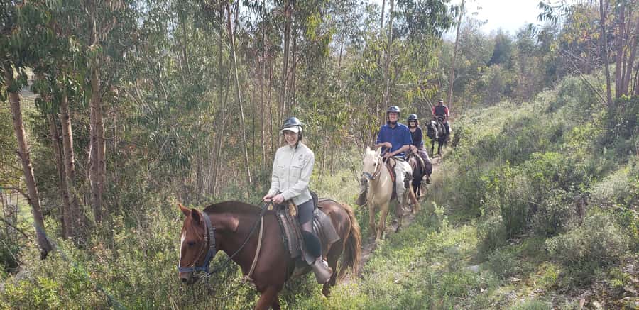 Cusco: Sacsayhuaman Guided Tour and 1-Hour Horseback Ride - A 4-hour Cusco mix of ruins, mummies, and real horseback time