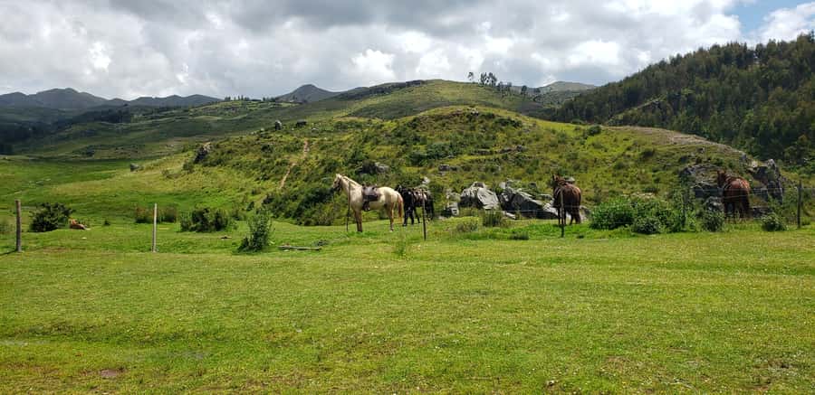 Cusco: Sacsayhuaman Guided Tour and 1-Hour Horseback Ride - Price and logistics: is $90 good value for this much variety?
