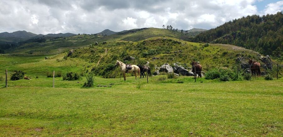 Cusco: Sacsayhuaman Guided Tour and 1-Hour Horseback Ride - Who should book this horseback and ruins combo?