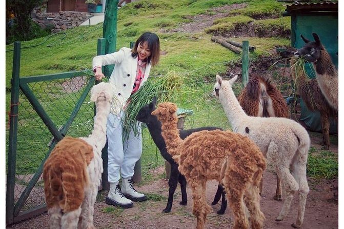 Cusco Santuario de Animales Rescatados en Cusco - The Guide Makes It Educational, Not Lecturing