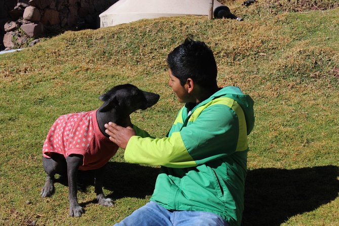 Cusco Santuario de Animales Rescatados en Cusco - What Happens After the Sanctuary Visit in Cusco