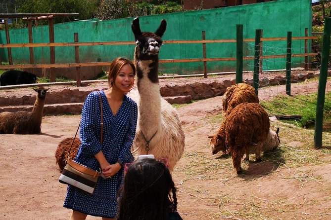 Cusco Santuario de Animales Rescatados en Cusco - Price and Value: Why $34 Can Feel Like a Fair Deal