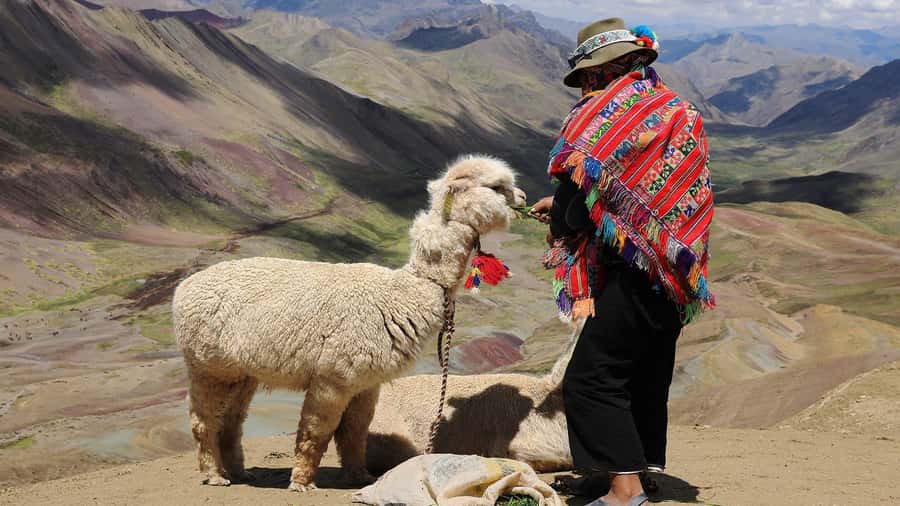 Cuzco: Rainbow Mountain Excursion - Should You Book This Rainbow Mountain Excursion?