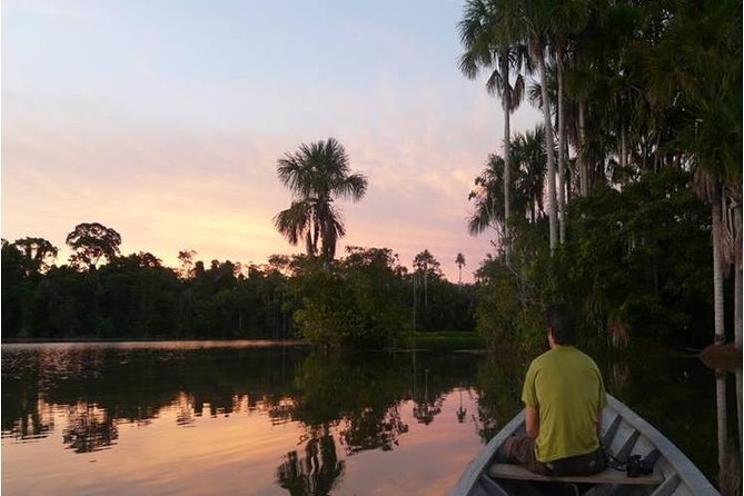 Eco Jungle 3 Days - 2 Nights - Day 1 Tambopata National Reserve: First Forest Walk, Monkey Island, and Night Alligators