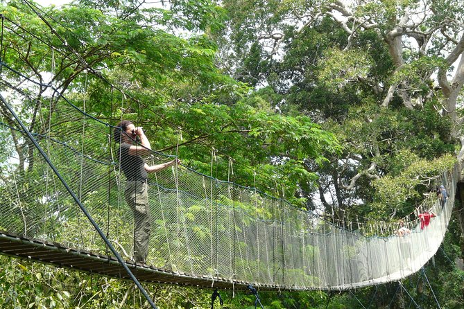 Eco Jungle 3 Days - 2 Nights - Day 3 Canopy Walkway at Dawn: 30+ Meters Up, Then Back to Town