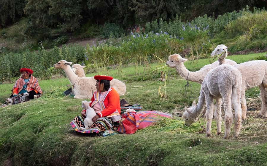 ECONOMIC PRIVATE TOUR IN THE CITY OF CUSCO - HALF DAY - What to bring, and what to watch out for