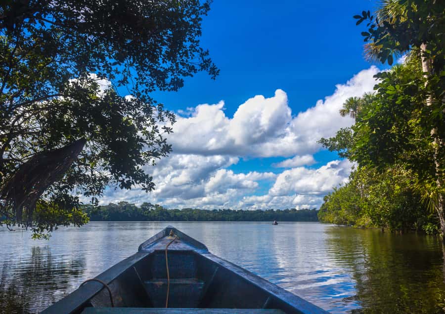 Excursion 3 days/2 nights in the jungle - Why Tambopata Works For A 3-Day Jungle Fix