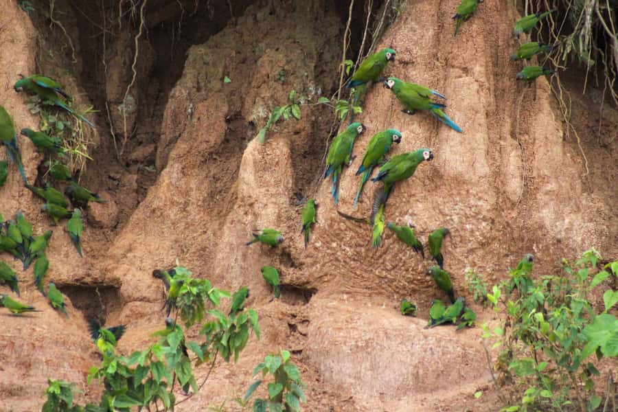 Excursion 3 days/2 nights in the jungle - What You Really Get For $395, And How To Get The Best Value