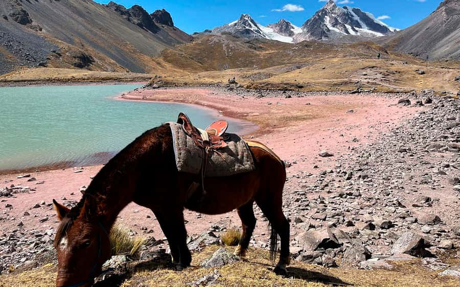 Excursion: Explore in one day the 7 lakes of Ausangate from Cusco - A one-day Ausangate plan that feels like a full adventure
