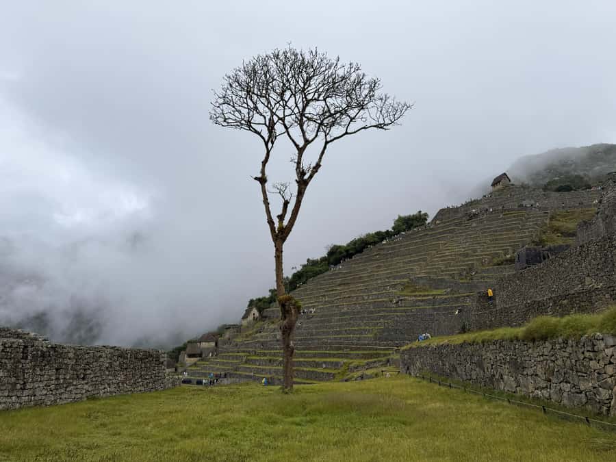Excursion from Cusco to Machu Picchu + Entrance Tickets Incl - Price and value: $478 is not cheap, so prove it to yourself