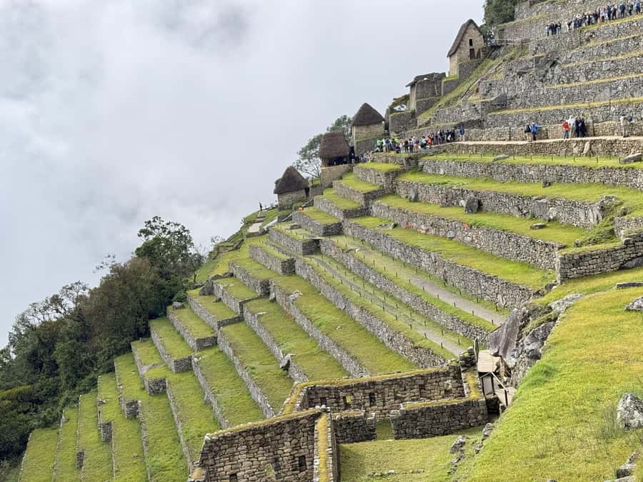 Excursion from Cusco to Machu Picchu + Entrance Tickets Incl - Service quality and guide matching: how to protect your time