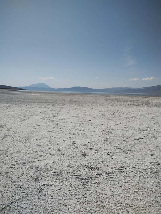 Excursion: Lagoon and National Reserve of Salinas and Aguada Blanca in Arequipa. - Key things to know before you go