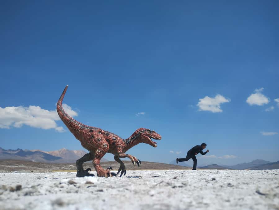 Excursion: Lagoon and National Reserve of Salinas and Aguada Blanca in Arequipa. - Chiguata and its andenerias: where the day feels local