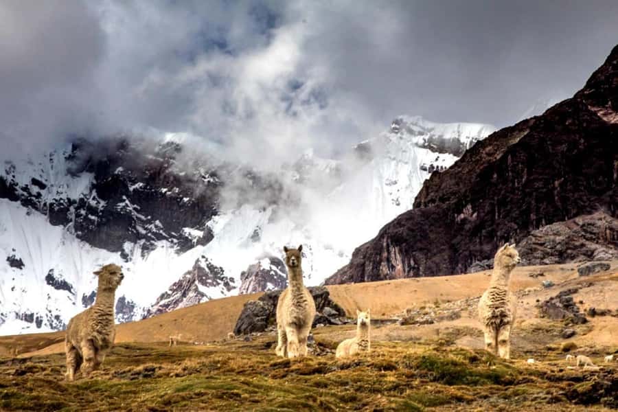 Excursion: Rainbow Mountain and Ausangate 7 Lagoons 2 days - What to pack for cold wind, high sun, and long walks