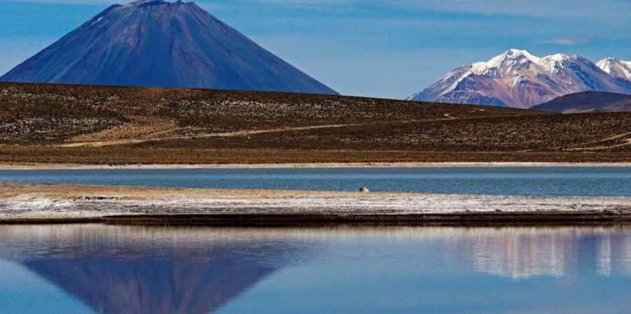 Excursion Salinas Lagoon and National - From Saltpeter Production to PichuPichu’s Vast Flats