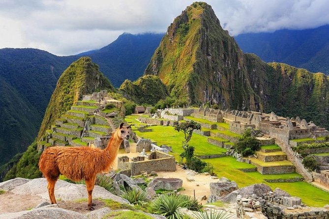 Excursion to MachuPicchu from Cusco with lunch | Private Service| - Key things to know about this Cusco to Machu Picchu private day trip