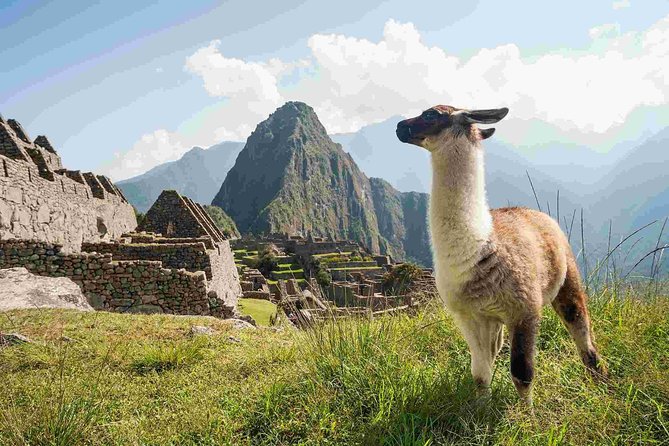 Excursion to MachuPicchu from Cusco with lunch | Private Service| - Heading back to Cusco: Consettur bus timing and the 15-hour reality check