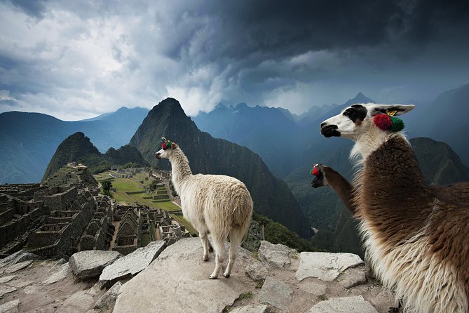 Excursion to MachuPicchu from Cusco with lunch | Private Service| - Ollantaytambo to Aguas Calientes by train: the calm middle of a long day
