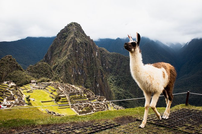 Excursion to MachuPicchu with Train Vistadome Full Day - Ticket reality: Circuit 1 or 2, plus the availability catch
