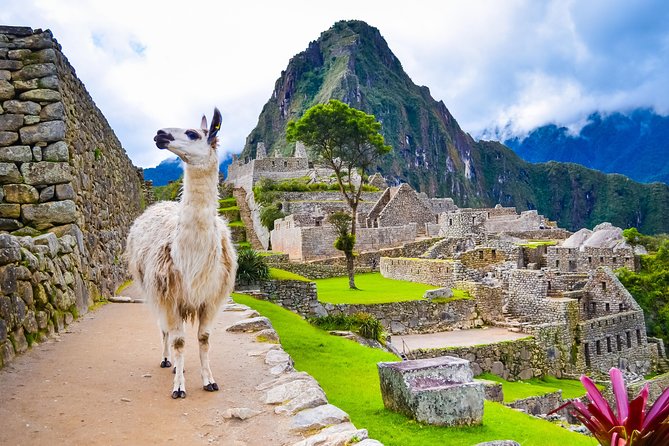 Excursion to MachuPicchu with Train Vistadome Full Day - The Aguas Calientes lunch window: fast food for a timed day