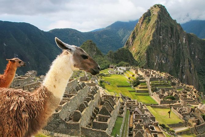 Excursion to MachuPicchu with Train Vistadome Full Day - Small group experience: why max 15 can feel better