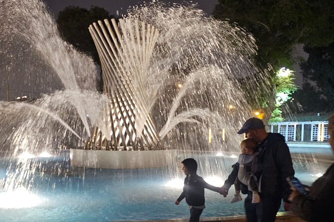 Explore the Catacombs, Lima Main Square & Magic Water Show - Who should book this tour