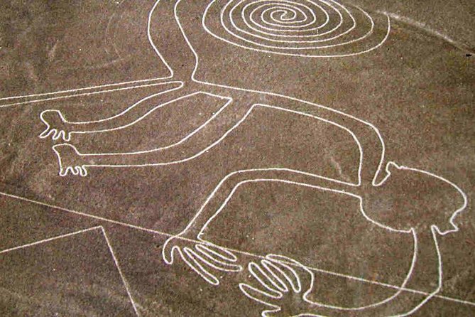 Flight Over the Nazca Lines from Pisco + Huacachina Oasis - Is this the right tour for you?