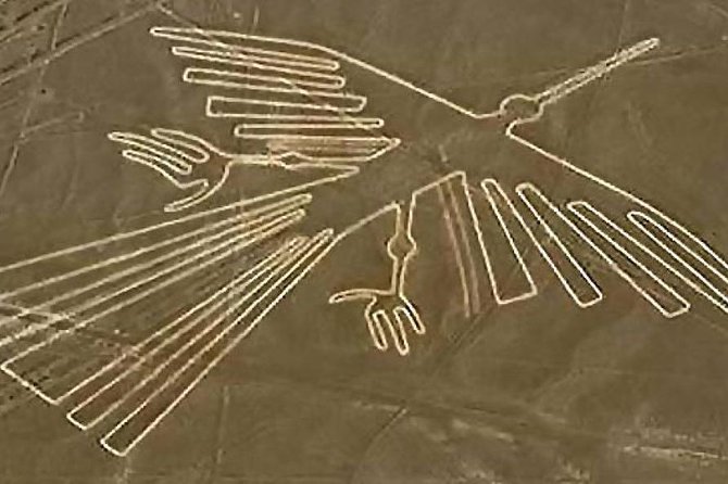 Flight Over the Nazca Lines from Pisco + Huacachina Oasis - Price and logistics: what the $730 really buys