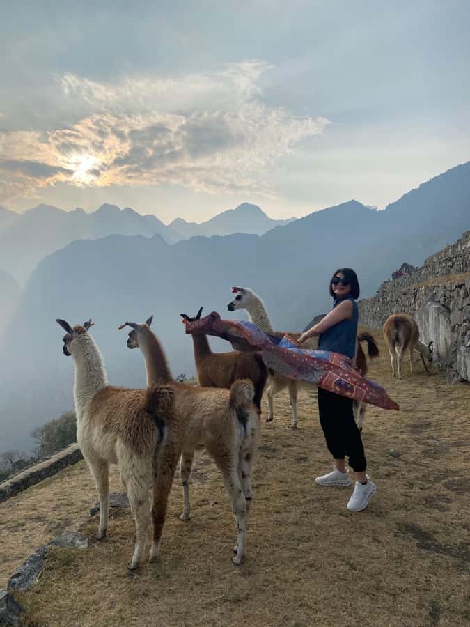 From Aguas Calientes: Machu Picchu guided tour with tickets - Your Passport and Timed Entry Ticket: The Gatekeeper Details