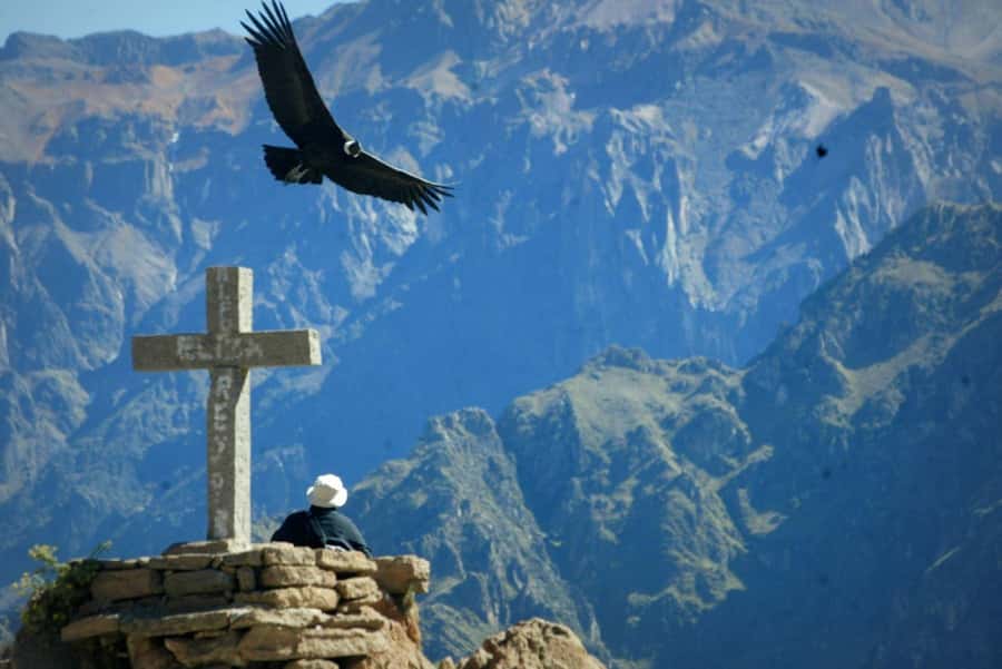 From Arequipa: 1 Day Tour to the Colca Canyon + Buffet lunch - The early 3:00 to 3:30 am pickup, and why it matters