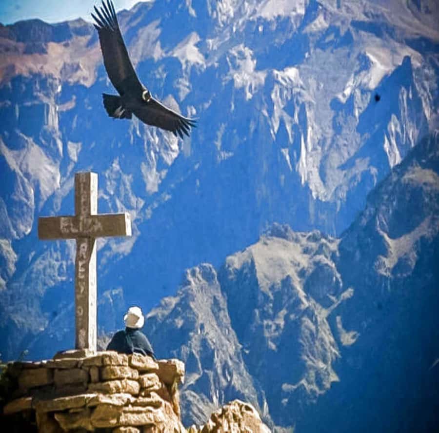 From Arequipa: 2-Day Colca Canyon Tour with Transfer to Puno - Day Two: breakfast in Chivay, Cruz del Condor viewpoint, then onward to Puno